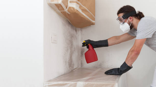 Professional Crawl Space Mold Removal technician working in Fayetteville, NY