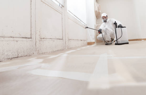 24/7 Emergency Crawl Space Mold Removal experts in Fayetteville, NY