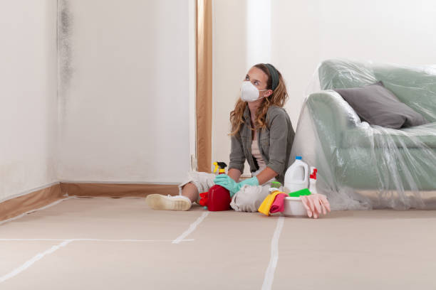Reliable Crawl Space Mold Removal contractor in Fayetteville, NY by WQB Mold Removal